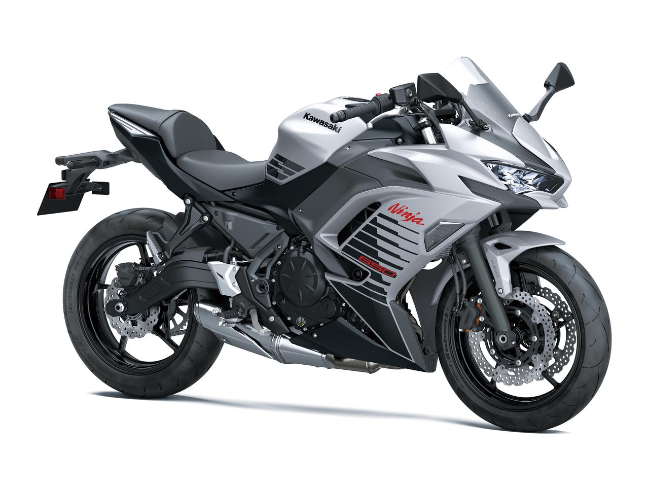 画像1: メタリックマットホワイティッシュシルバー×メタリックフラットスパークブラック
