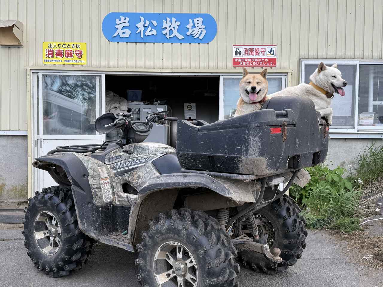 画像10: 今回は、岩松牧場へ