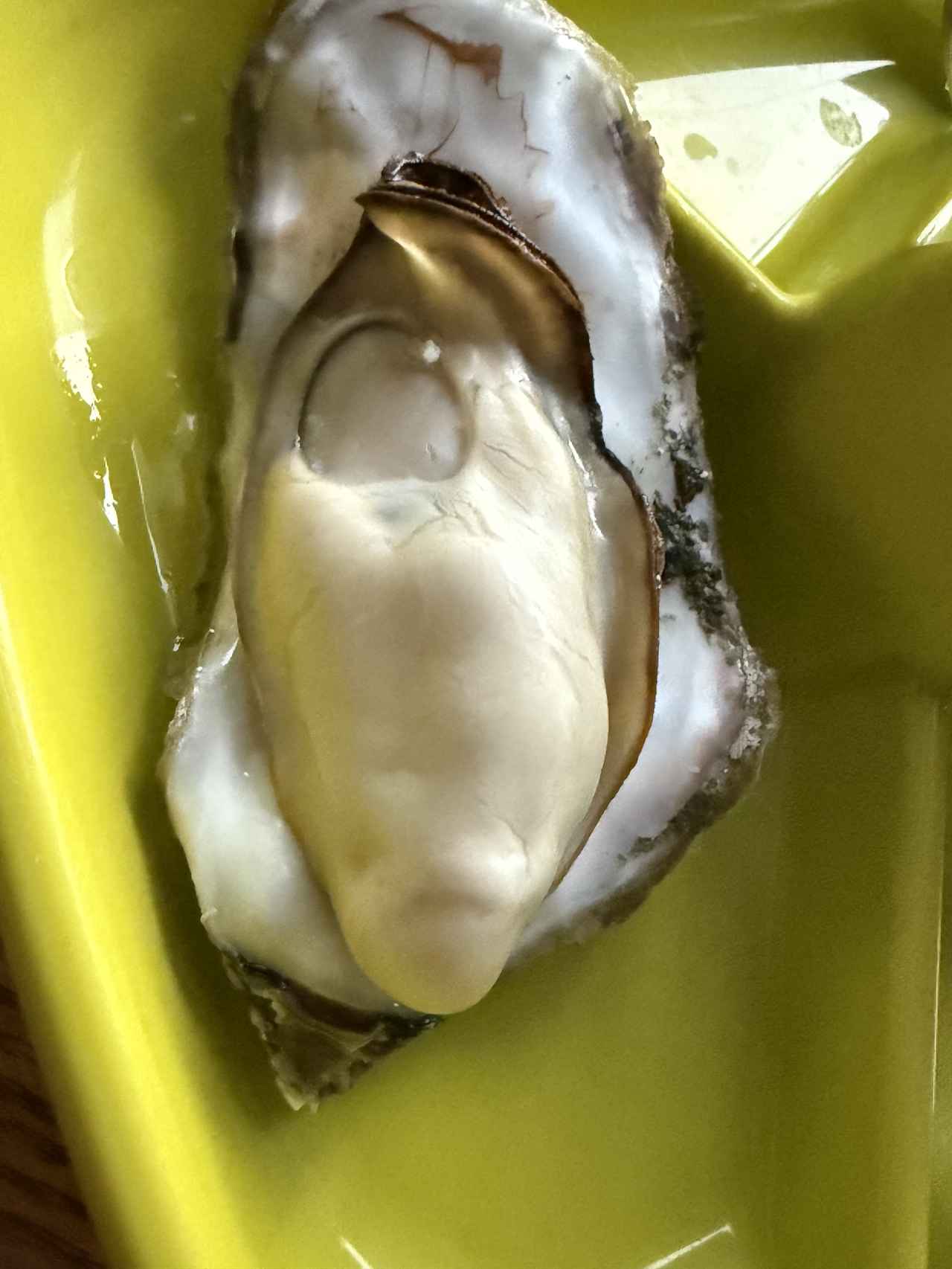 画像15: 今回は、岩松牧場へ