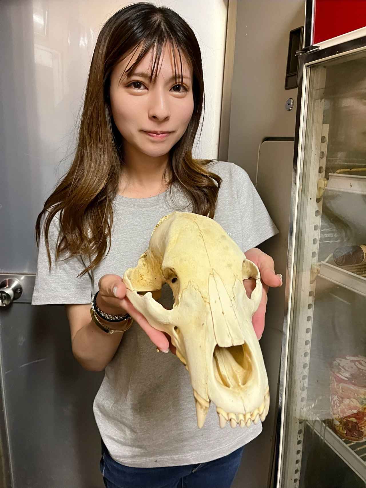 画像11: 鹿の解体を見せていただきました。