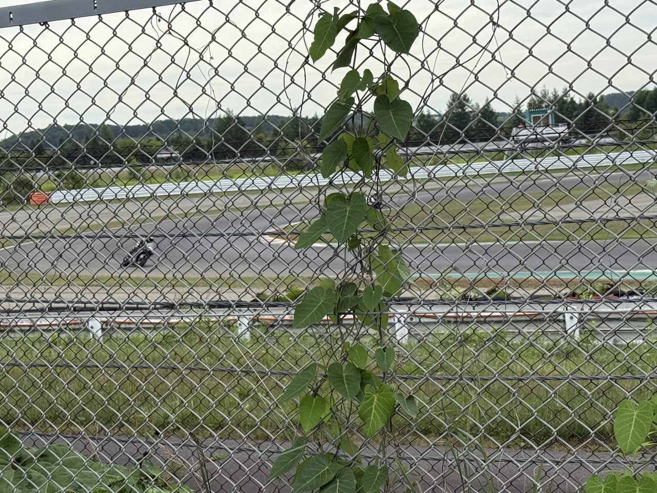 画像2: ウエストパドックエリア