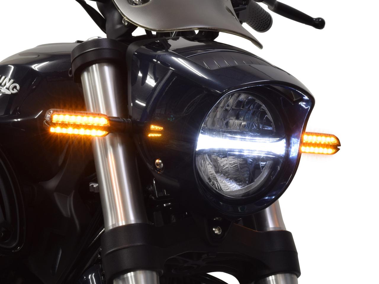 画像 : 13番目の画像 - 【写真23枚】ヒョースン「GV250R アバンギャルド」 - webオートバイ