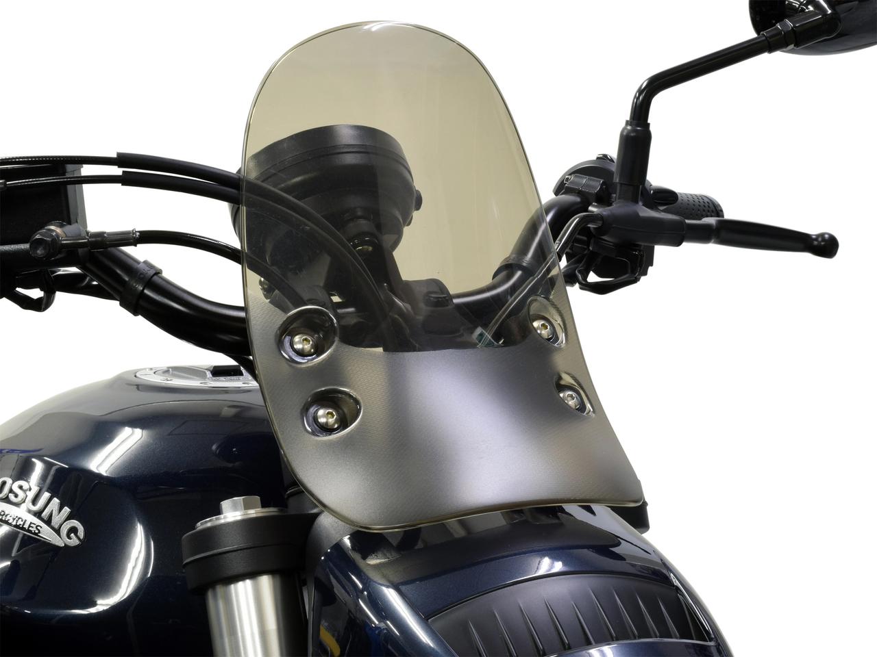 画像 : 23番目の画像 - 【写真23枚】ヒョースン「GV250R アバンギャルド」 - webオートバイ