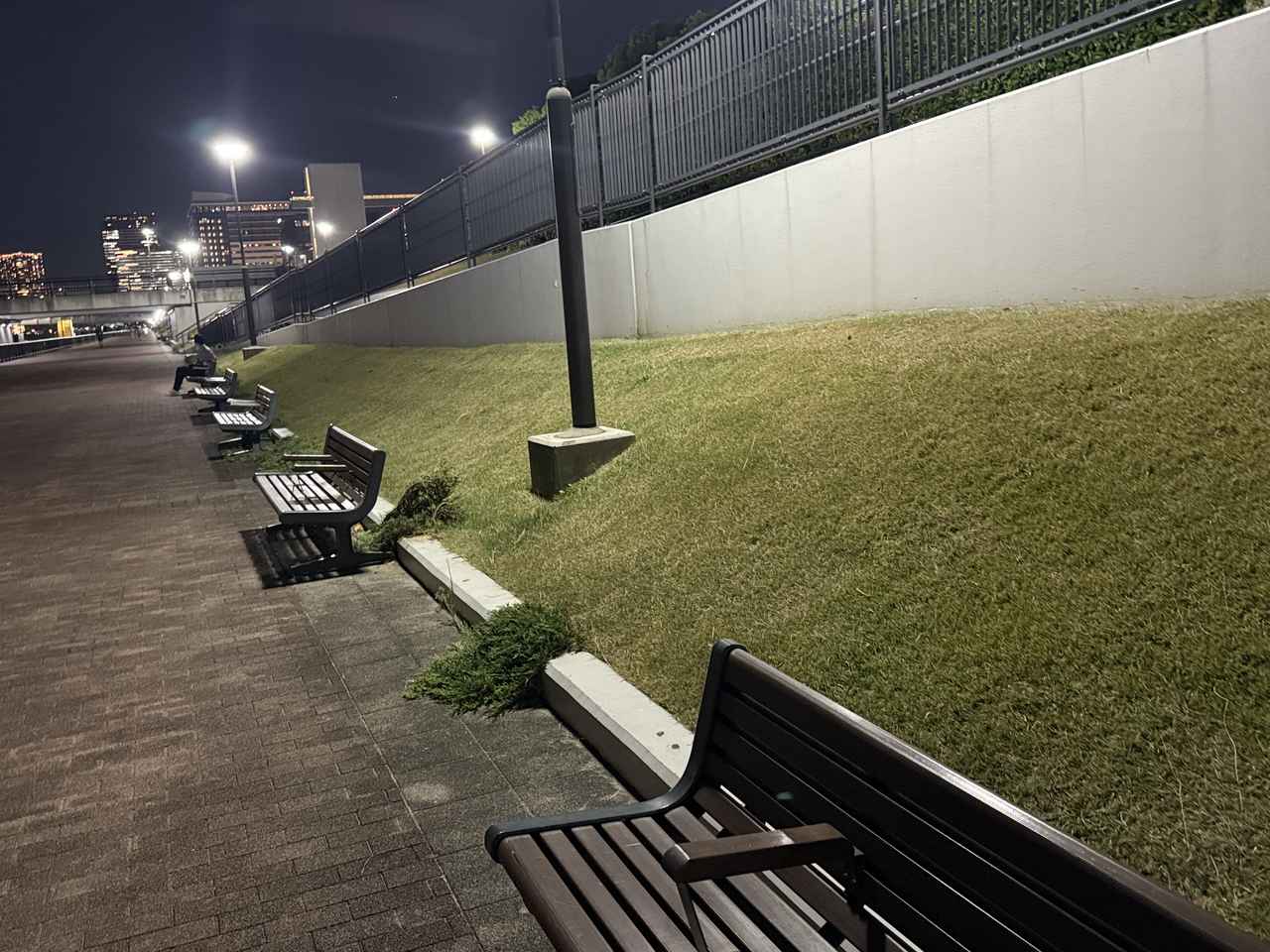 画像16: 豊洲ぐるり公園へ
