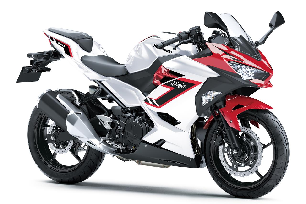 画像2: カワサキ「Ninja250」2026年モデル発表｜グラフィック変更で雰囲気が一変！ 新色2カラーをラインアップ