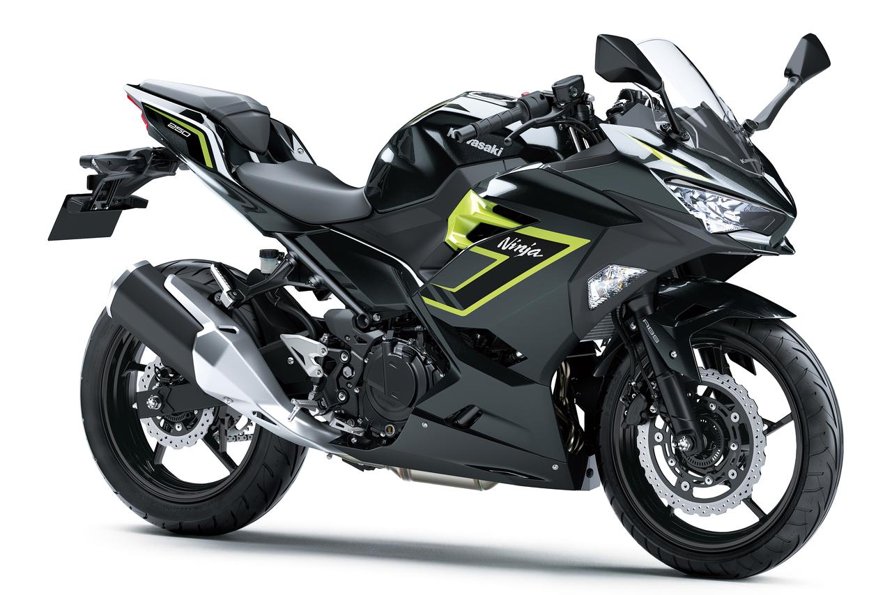 画像1: カワサキ「Ninja250」2026年モデル発表｜グラフィック変更で雰囲気が一変！ 新色2カラーをラインアップ