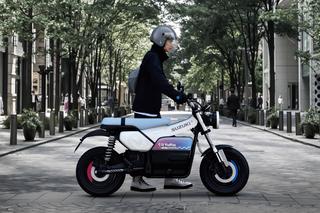 画像17