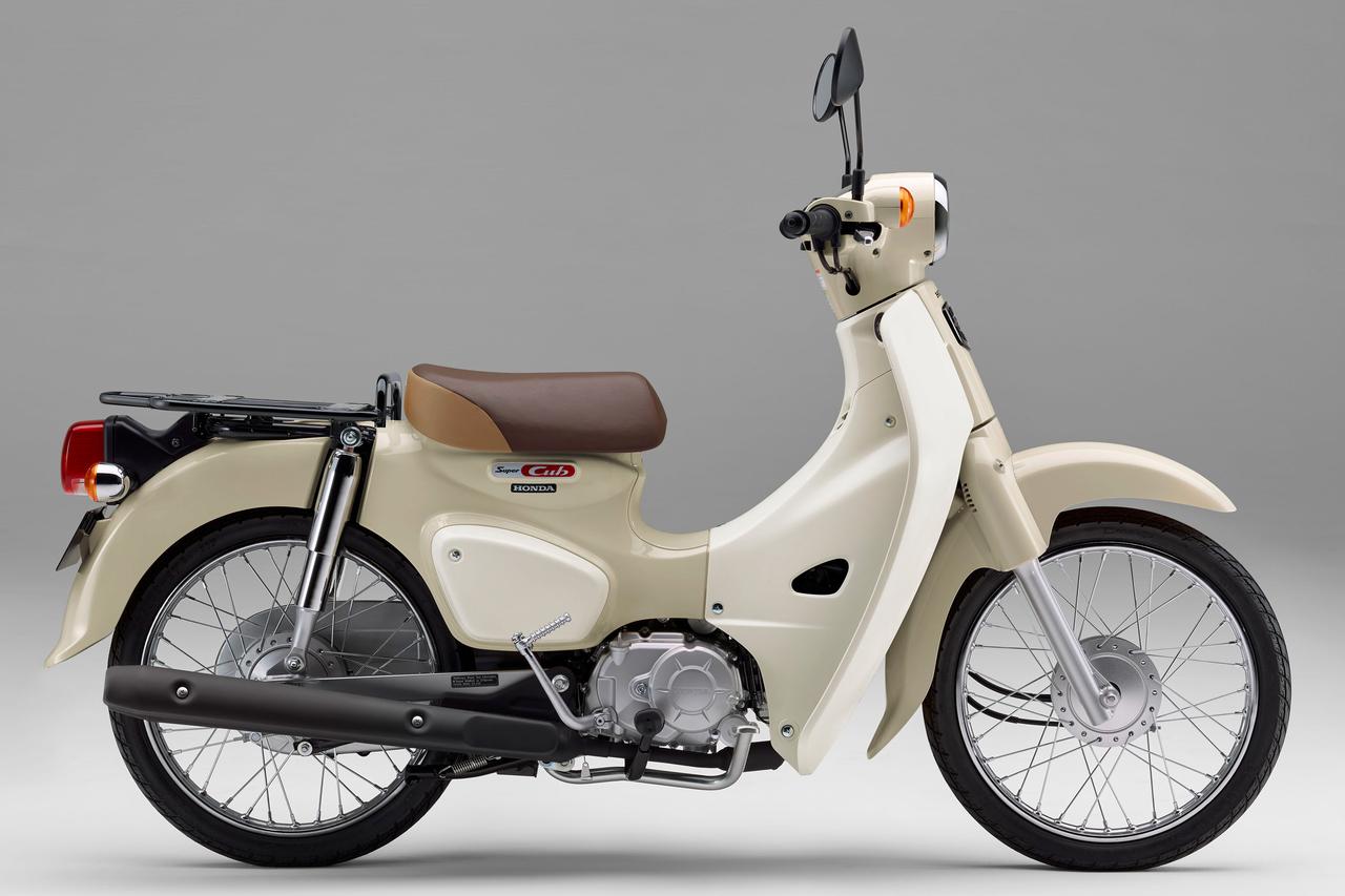 画像1: ホンダ「スーパーカブ50」【イマなら買える!50cc原付バイク図鑑】
