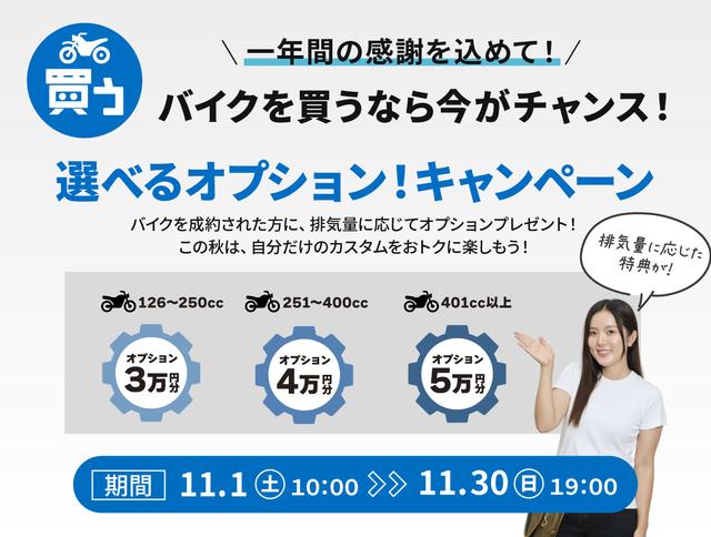 画像1: 決算キャンペーン 企画②「選べるオプション！キャンペーン」