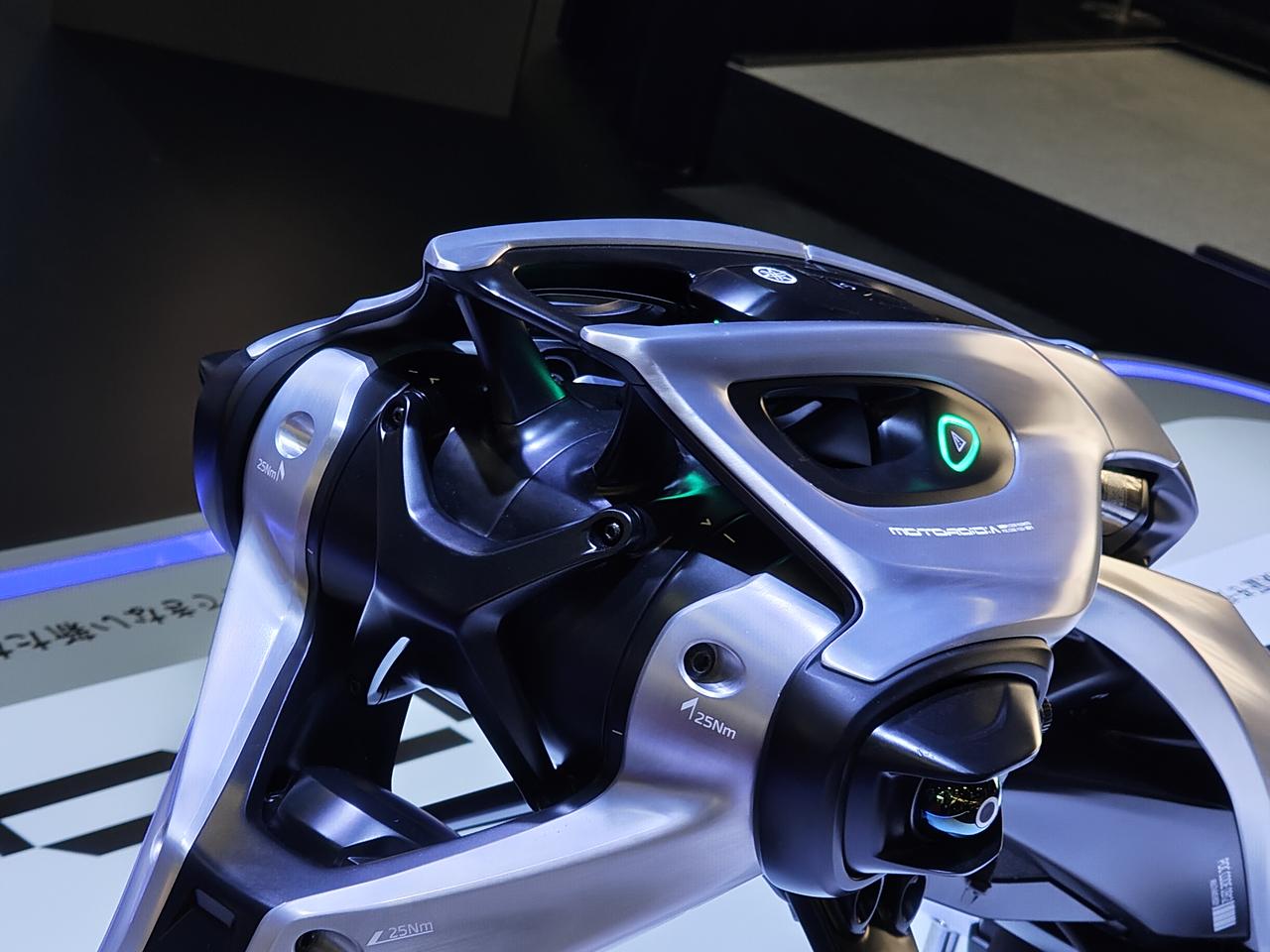 画像1: ▶そのほか