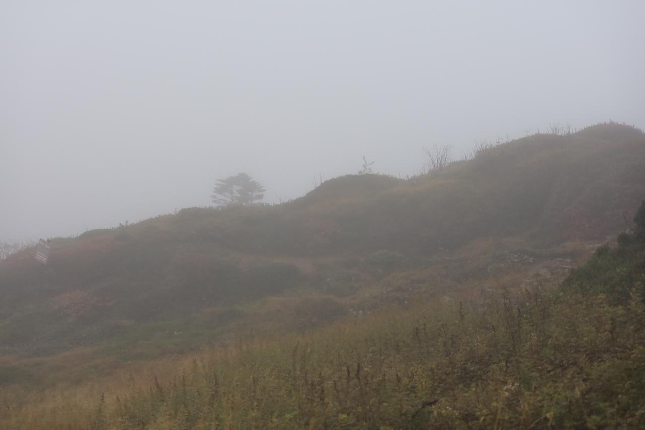 画像3: ▲志賀草津道路・山田峠付近。今日の雨も道の東側へと流れ落ちれば、太平洋へ。西側に流れれば、日本海へと向かうことになる。雨の日に立つことで、分水嶺は運命の分かれ道なのだとリアルに感じた。