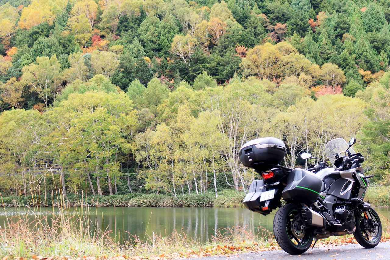 画像2: ▲木戸池・標高1640m。こちらは見頃の一歩手前か、やや色が浅い。湖畔に車両をおいて写真が撮れる貴重なスポット。