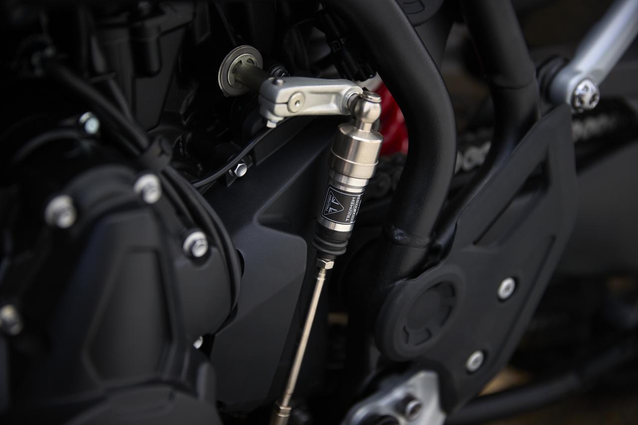 画像 : 17番目の画像 - 【写真19枚】トライアンフ「タイガー900アルパインエディション」 - webオートバイ