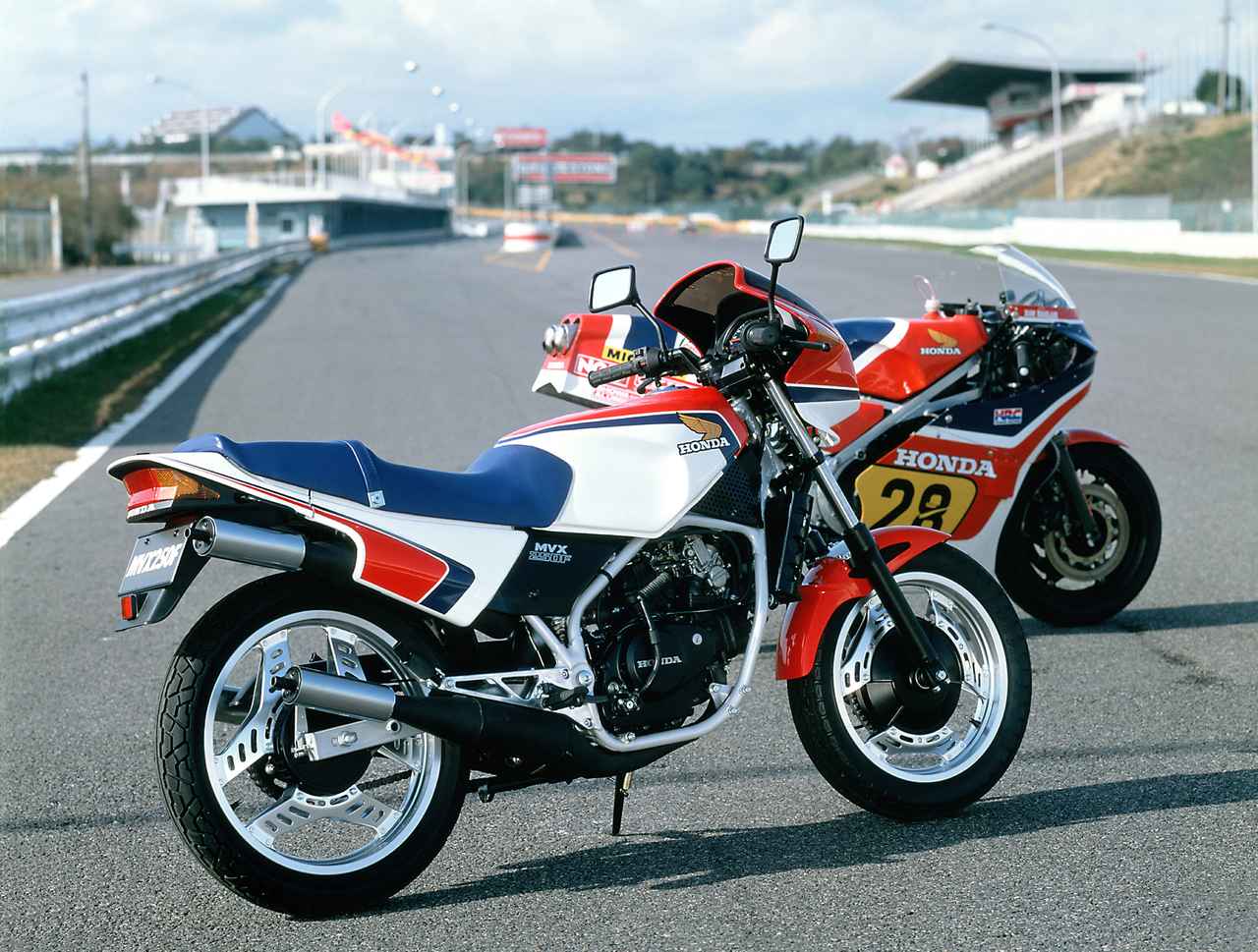 画像 : 8番目の画像 - 【写真9枚】ホンダ「MVX250F」（1983年） - webオートバイ