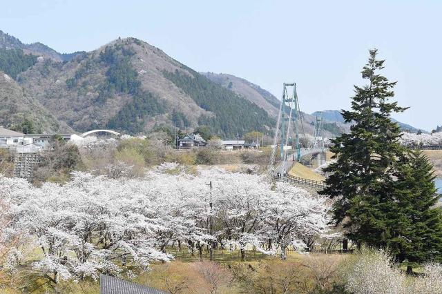 画像4: ライダーの聖地‘‘宮ヶ瀬”がもっと楽しくなる⁉ 神奈川県唯一の村「清川村」の展望とは？
