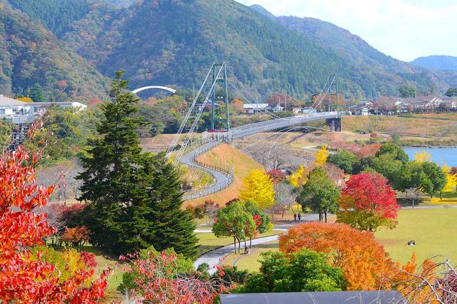 画像9: ライダーの聖地‘‘宮ヶ瀬”がもっと楽しくなる⁉ 神奈川県唯一の村「清川村」の展望とは？