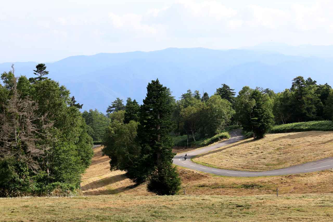 画像1: 峠道ではモタードとして本領発揮？