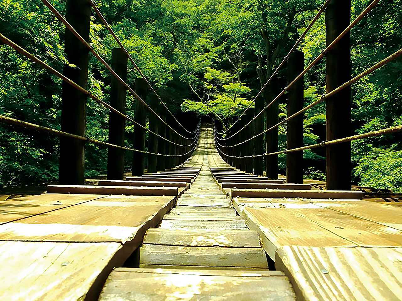 画像 : 10番目の画像 - 【写真13枚】 - webオートバイ