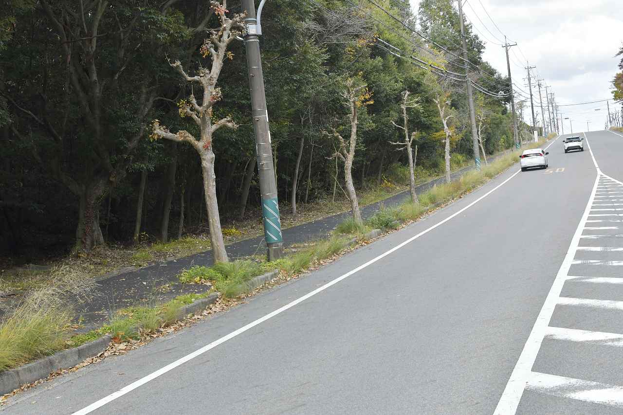 画像1: 軽く走らせてみる