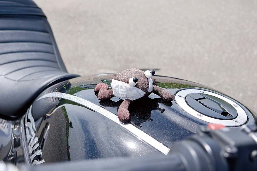 画像3: Detailed Description 詳細説明