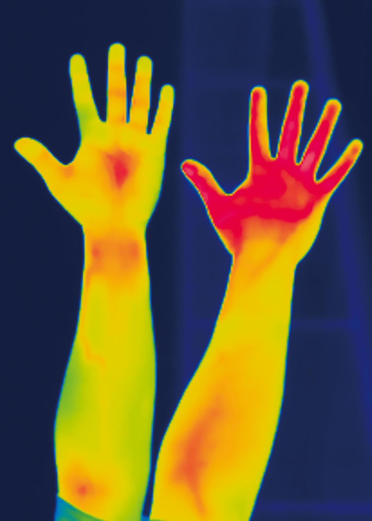 画像 : 29番目の画像 - 【写真35枚】 - webオートバイ