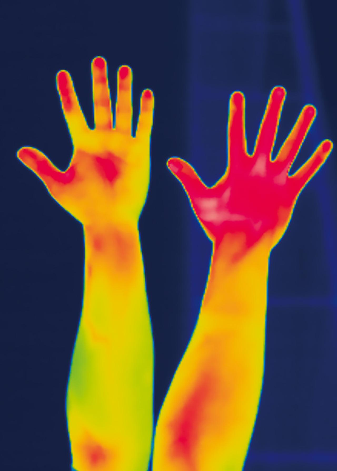 画像 : 25番目の画像 - 【写真35枚】 - webオートバイ