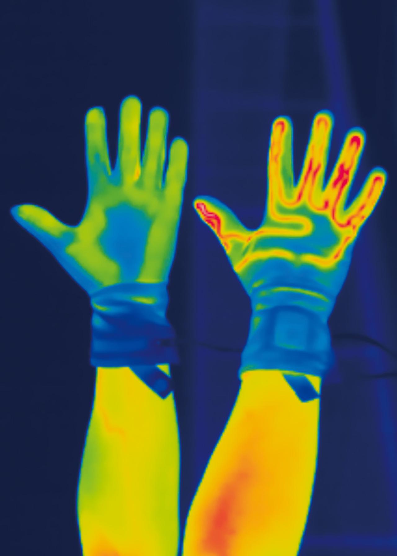 画像 : 30番目の画像 - 【写真35枚】 - webオートバイ