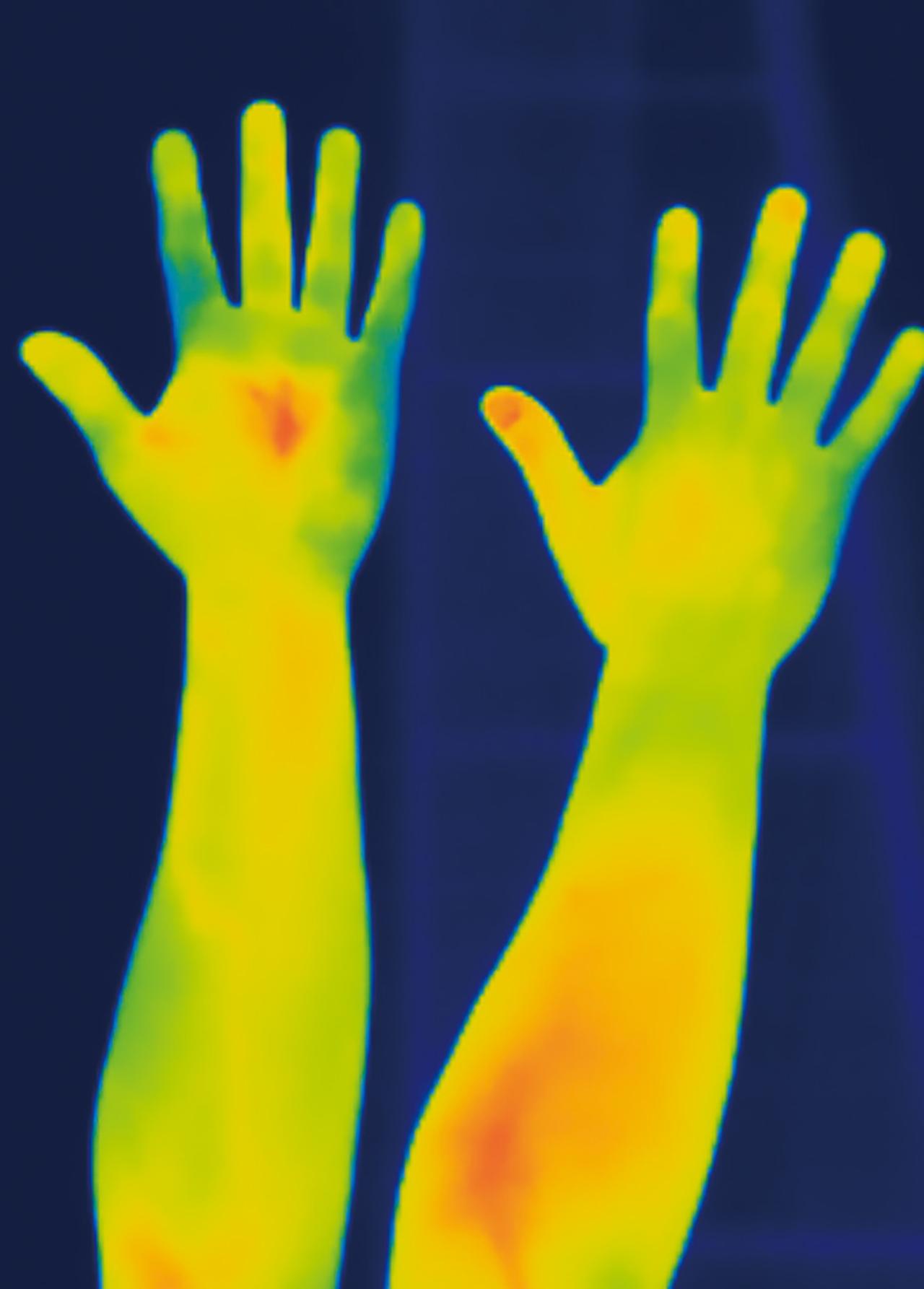 画像 : 28番目の画像 - 【写真35枚】 - webオートバイ