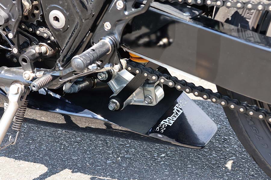 画像10: Detailed Description 詳細説明