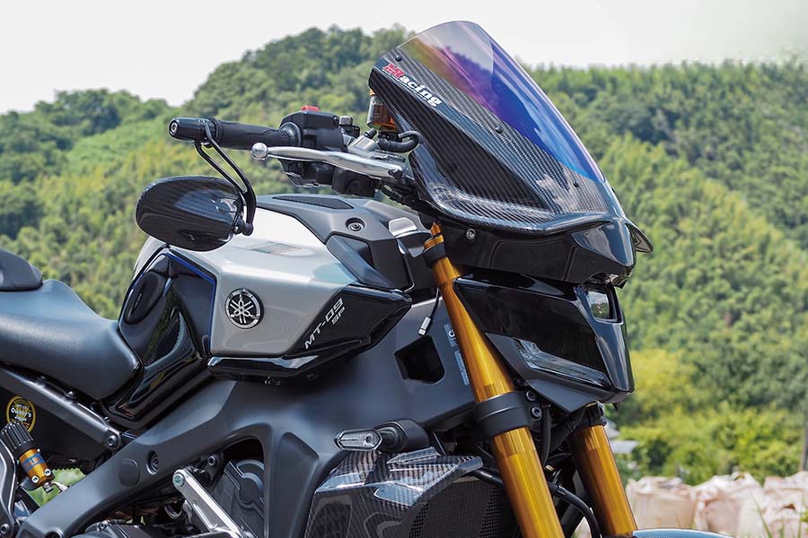 画像3: Detailed Description 詳細説明