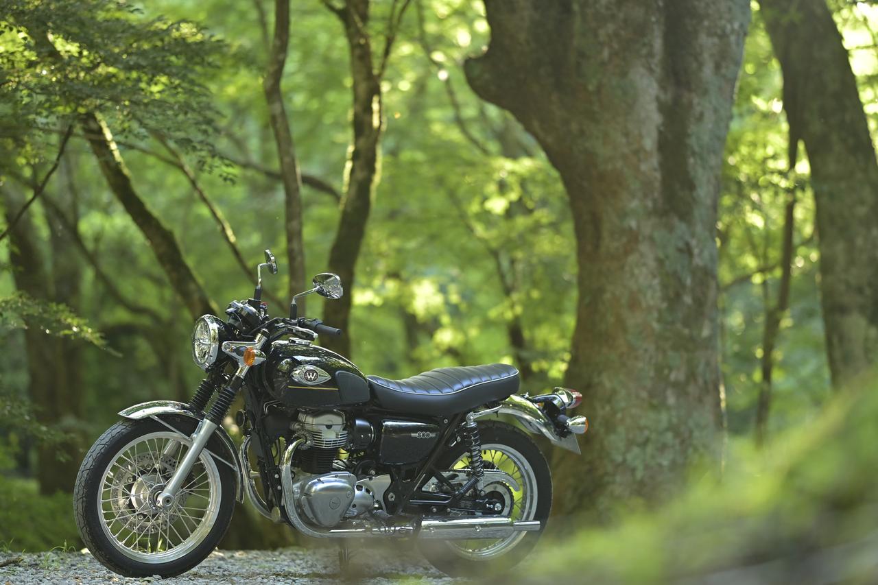 画像3: 写真映えする