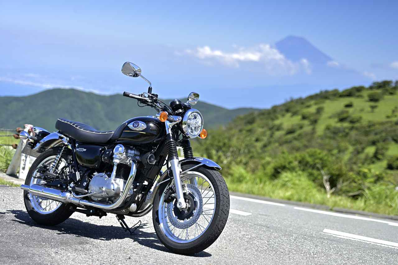 画像1: 写真映えする