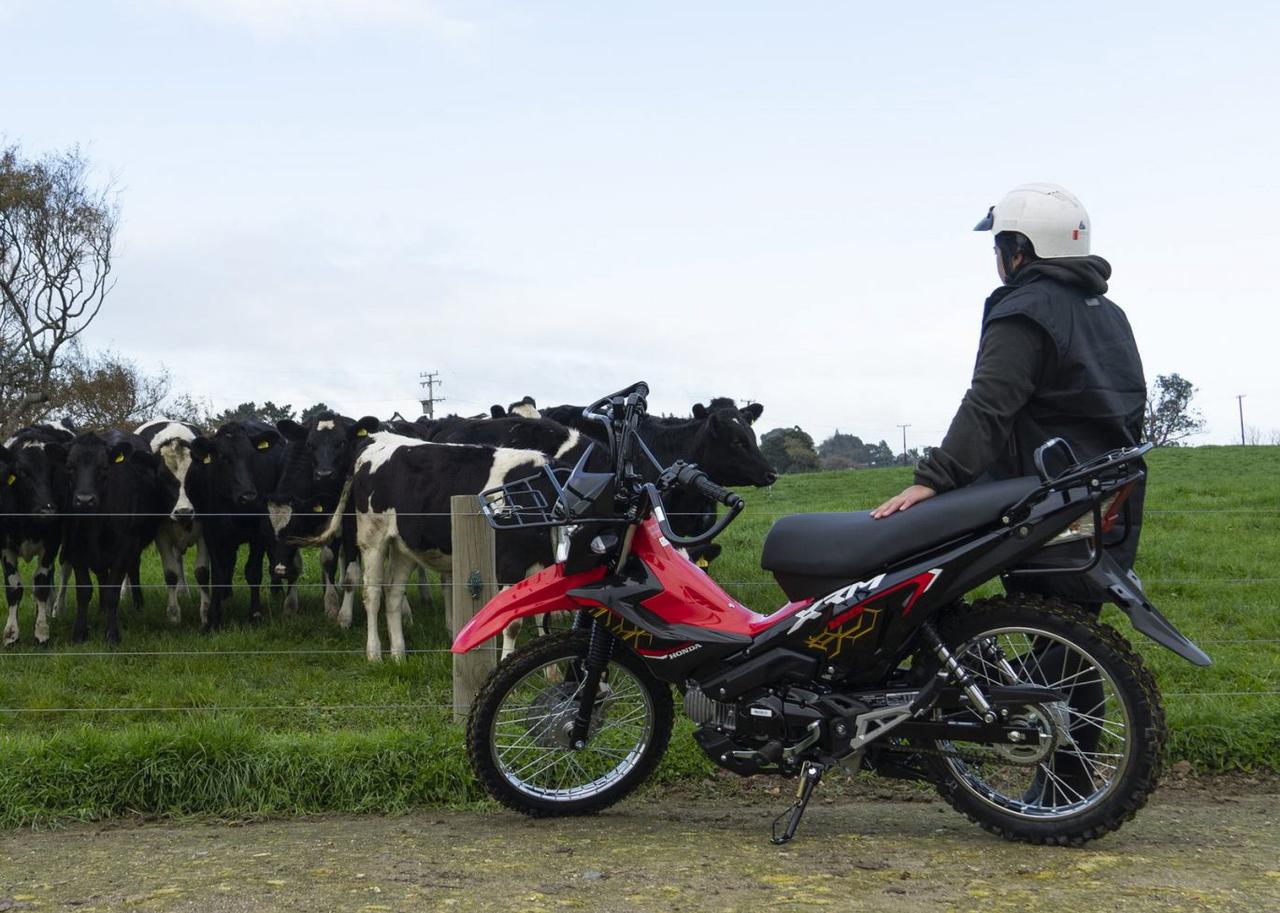 画像 : 16番目の画像 - 「【便利でタフな働き者】ホンダ「XRM125」は手軽なファーマーバイク【世界でがんばる!! 日本メーカーの珍車大図鑑 Vol.27】」のアルバム - webオートバイ