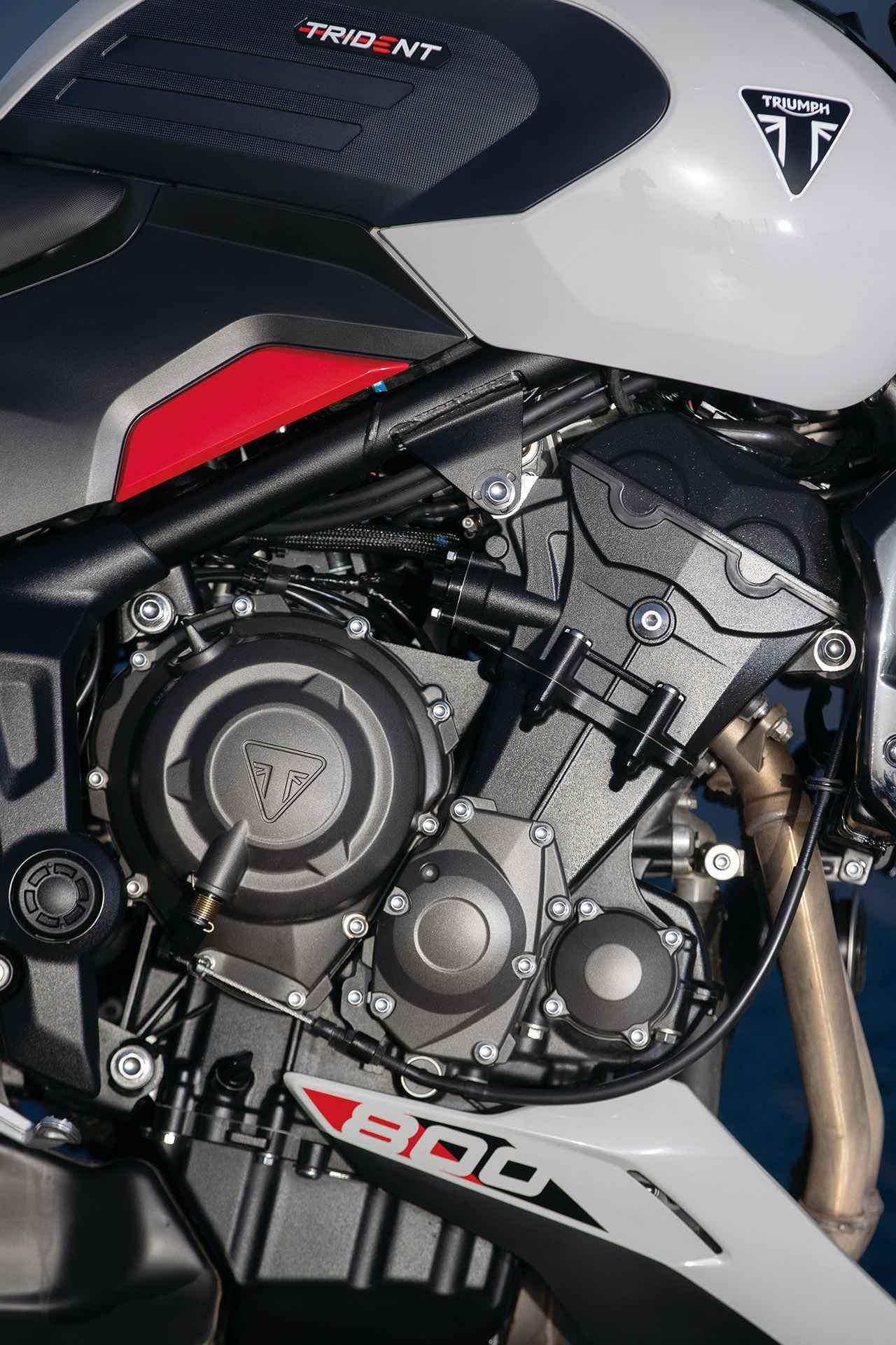 画像 : 11番目の画像 - 【写真15枚】トライアンフ「トライデント800」 - webオートバイ