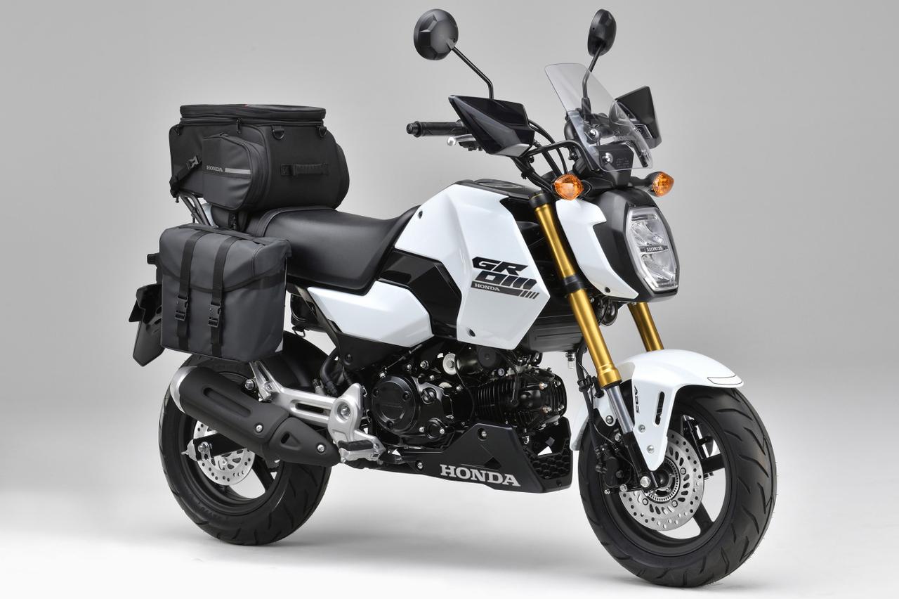 画像 : 5番目の画像 - 【写真5枚】ホンダ「グロム」 - webオートバイ