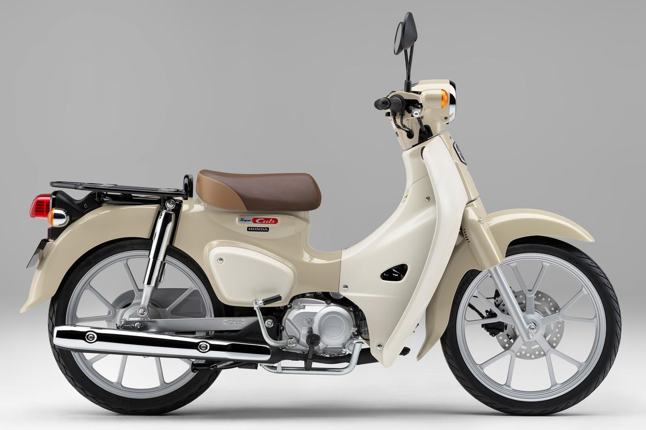 画像1: ホンダ「スーパーカブ110 Lite / プロ Lite」【サクッと読める！2026年モデル国産車図鑑】