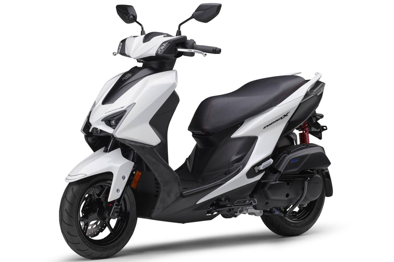 画像1: ブルーイッシュホワイトパール1（ホワイト）