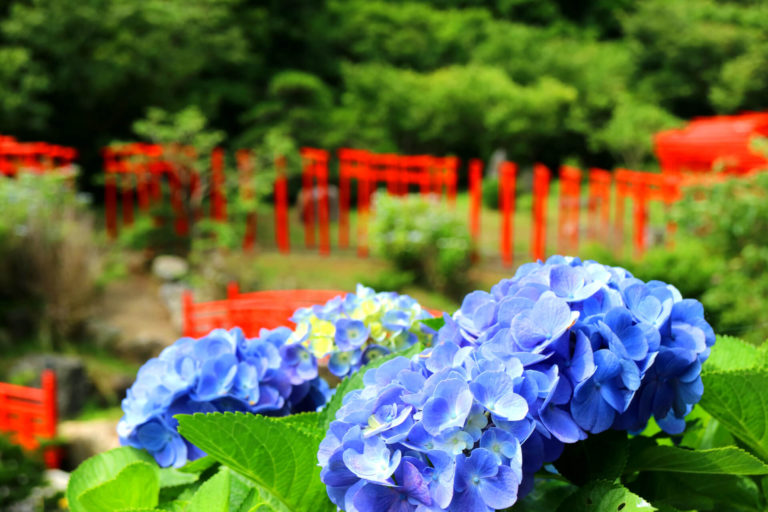 画像: 境内案内図 | 青森県 高山稲荷神社|人気のパワースポット・千本鳥居