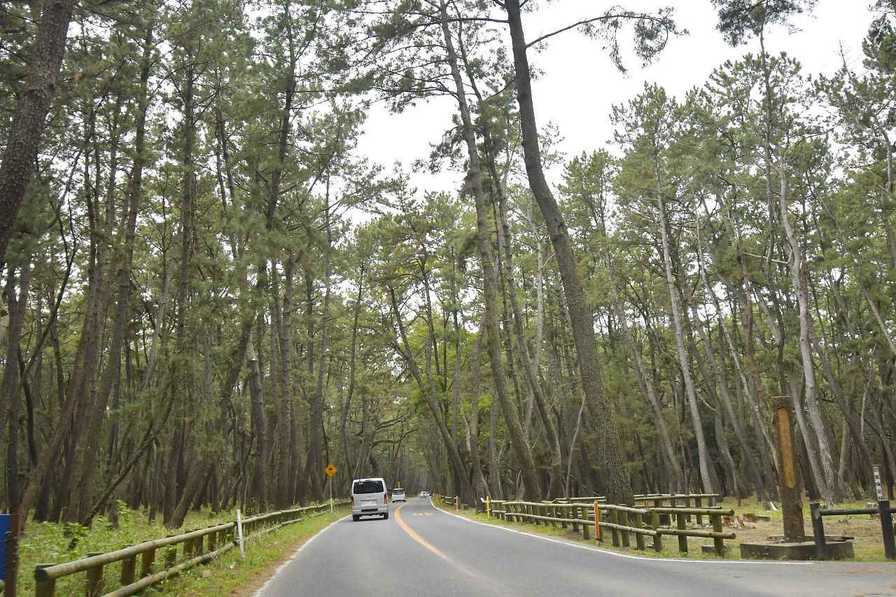 画像4: 那珂川(なかがわ)の沈下橋