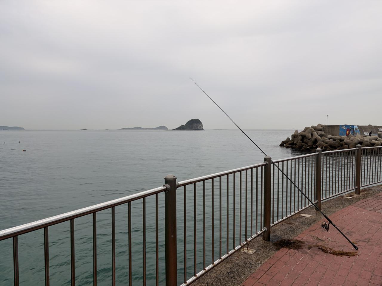 画像1: 呼子で釣り