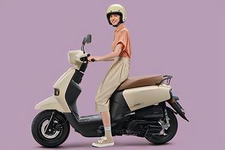 画像14