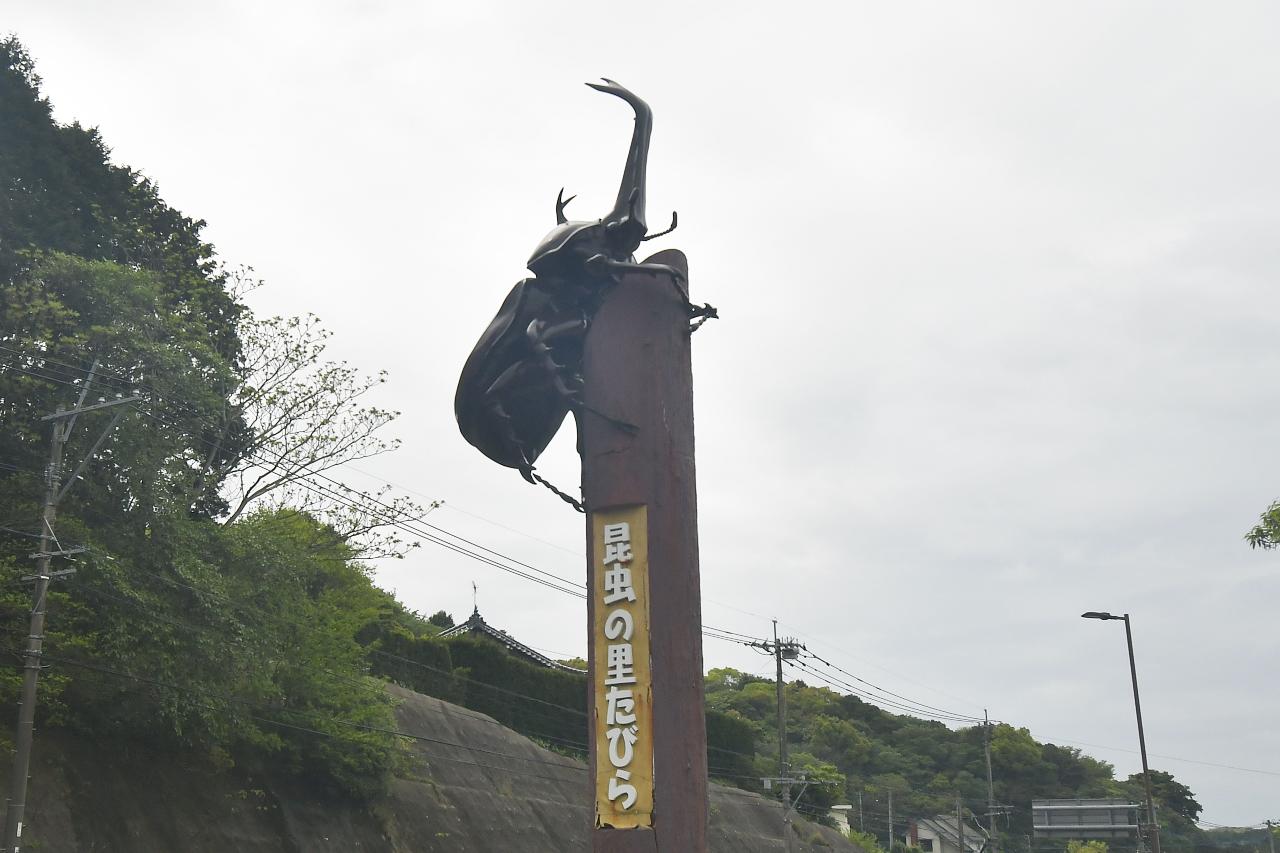 画像2: 平戸で釣りをするのだ