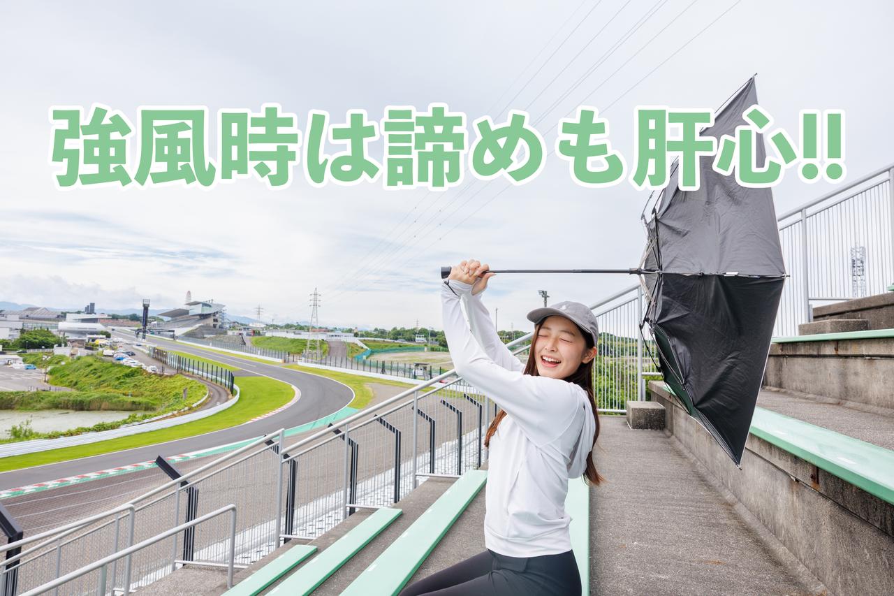 画像: 傘を差し続けるのが困難なくらい強風になったら、諦めるのも大事です！