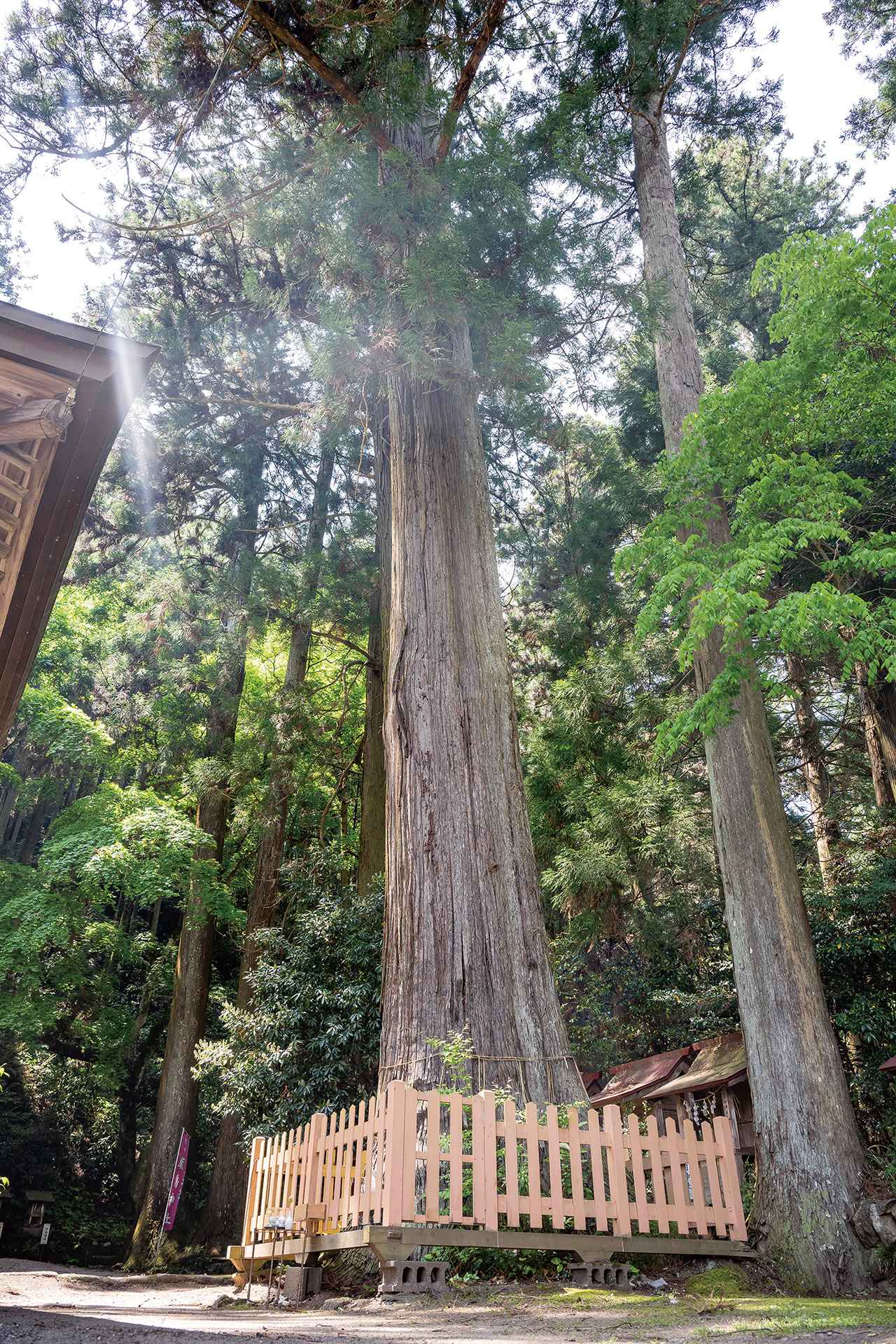 画像9: サーキットで"ガチ走り"のアイドル葉月美優さんとゆくバイク旅【神社ソムリエ・佐々木優太の開運ツーリング】