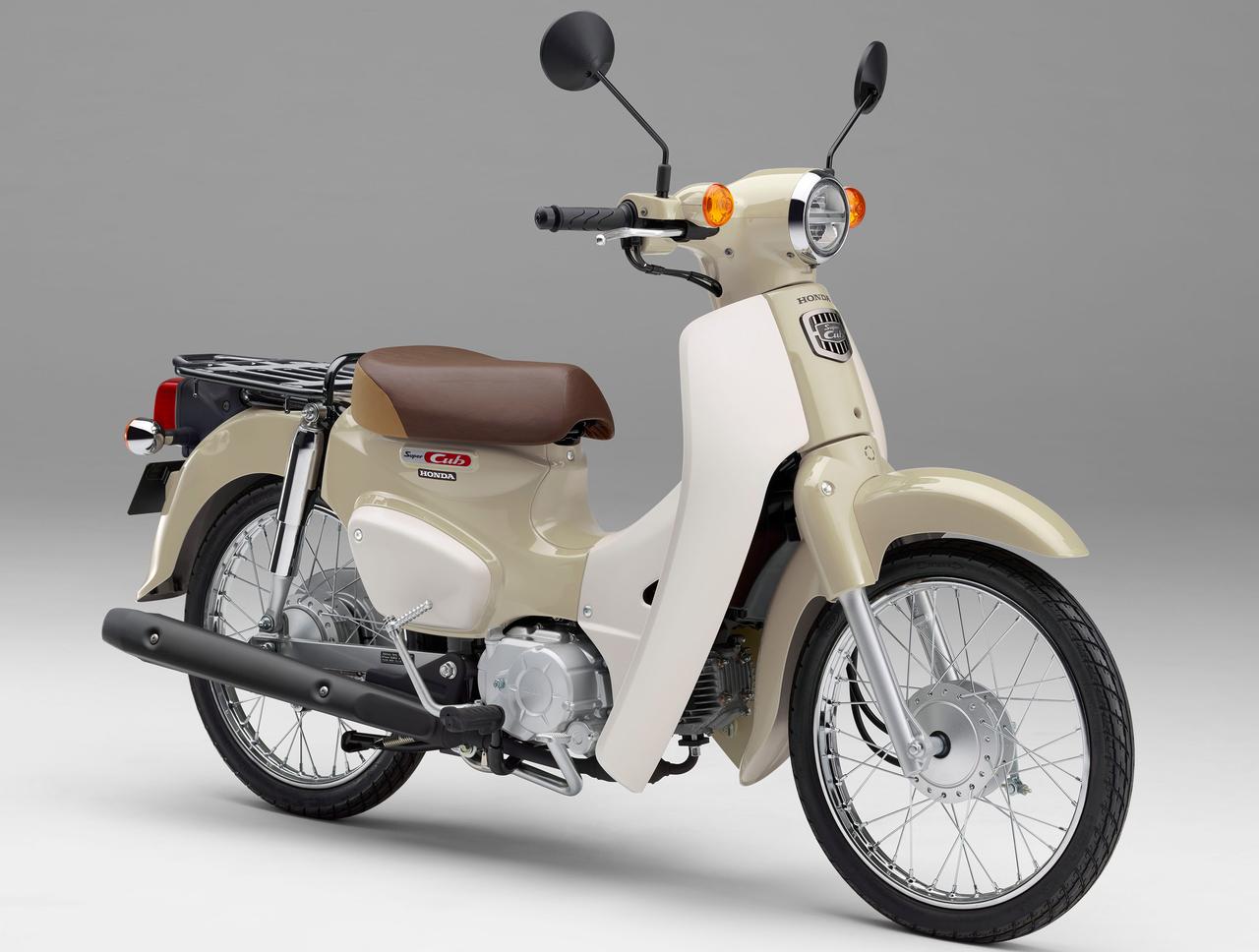 画像: ホンダ「スーパーカブ50 / プロ」【サクッと読める!2026年モデル国産車図鑑】 - webオートバイ