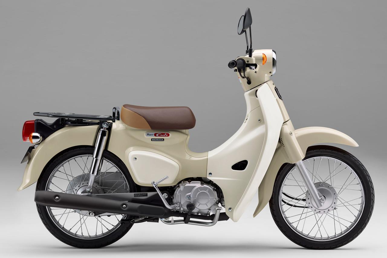 画像: 総排気量:49cc エンジン形式:水冷4ストOHC単気筒 シート高:735mm/740mm(プロ) 車両重量:96kg/108kg(プロ) 発売日:2022年6月27日 税込価格:24万7500円 / 26万9500円(プロ) ※写真はスーパーカブ50