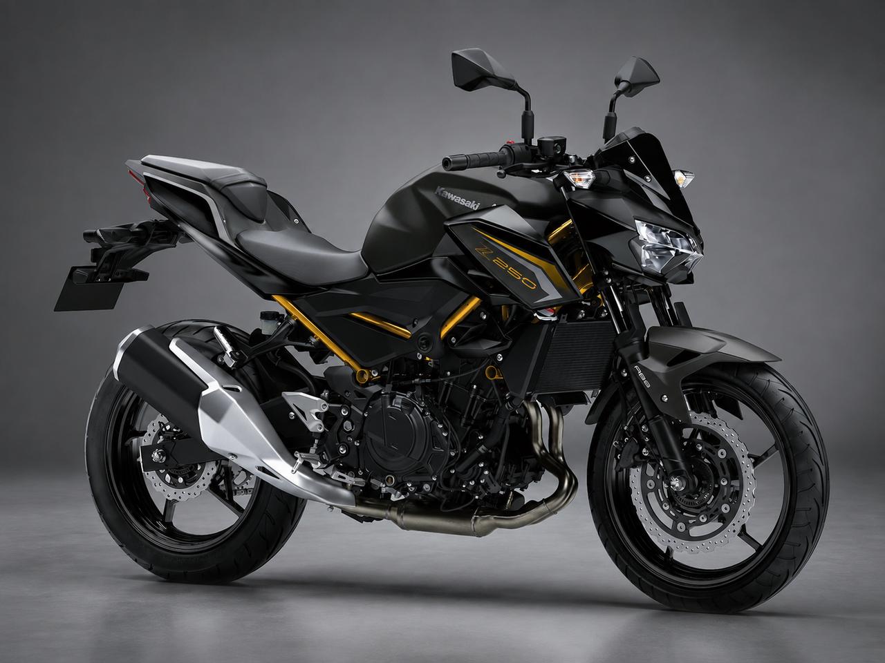 画像 : 9番目の画像 - 【写真9枚】カワサキ「Z250」 - webオートバイ