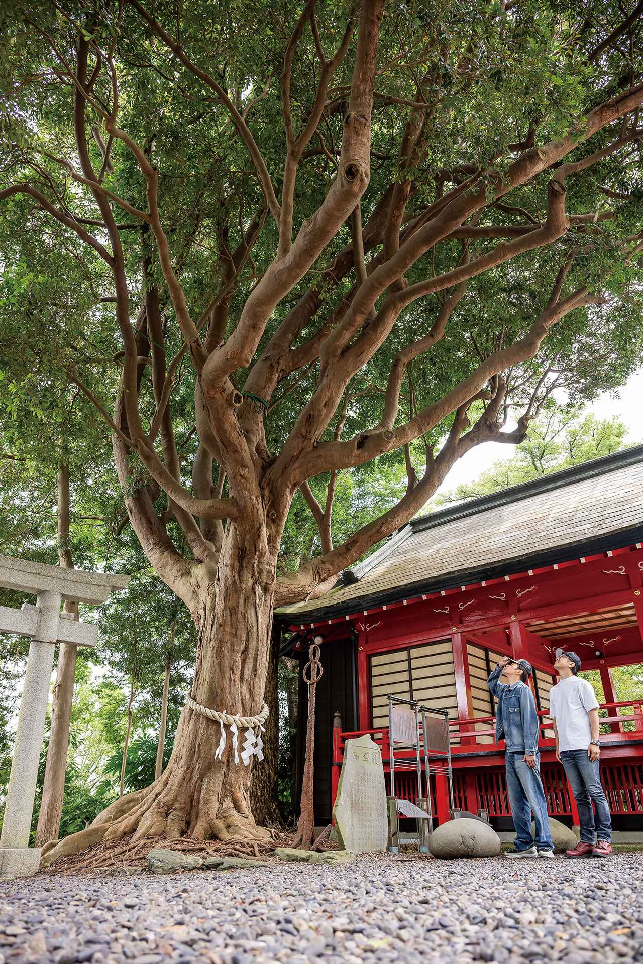 画像4: ツーリングの目的地は千葉県の玉前神社