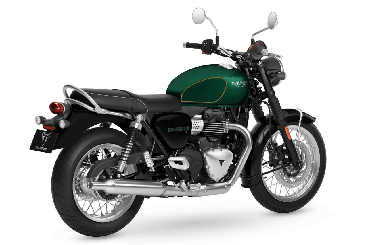 画像3: Competition Green