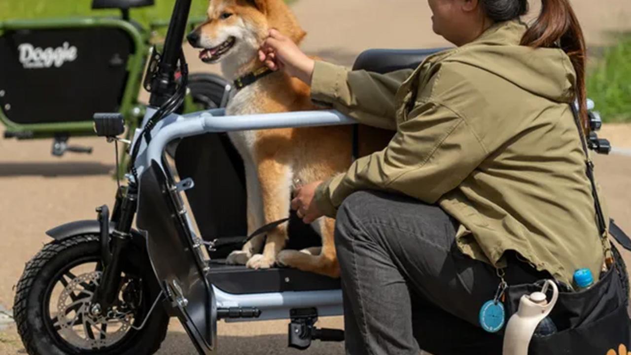 画像 : 1番目の画像 - 「愛犬を車体の真ん中で包み込む。犬専用のキャビンを持つ特定小型原付「Doggie_Lite」が楽しそう」のアルバム - webオートバイ